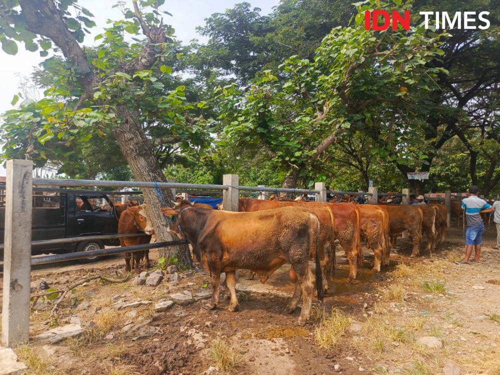 Pramono Larang Pedagang Kurban Gelar Lapak di Trotoar 