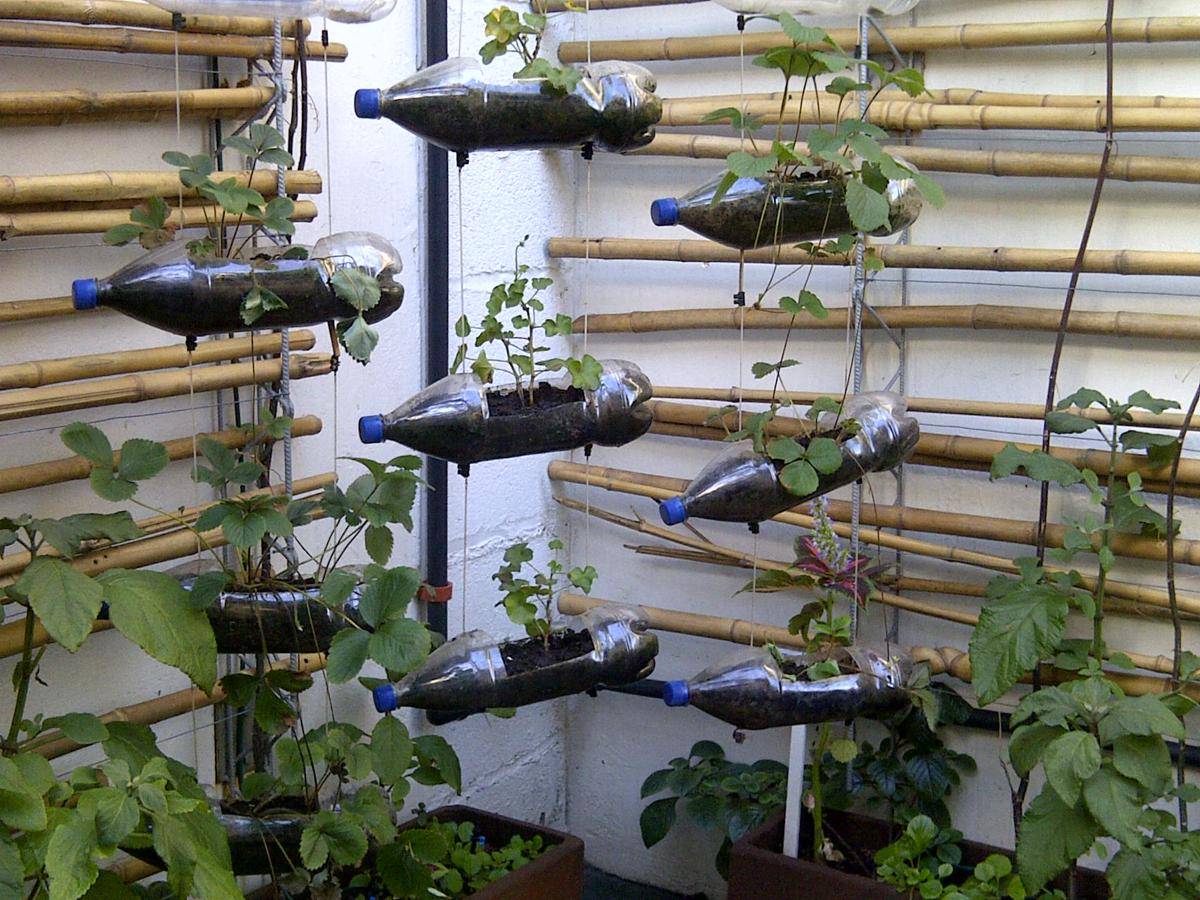 https://cdn.idntimes.com/content-images/post/20170614/junk-vegetable-gardening-in-a-small-area-b547cda43a87080c48231ec45d9afa38.jpg