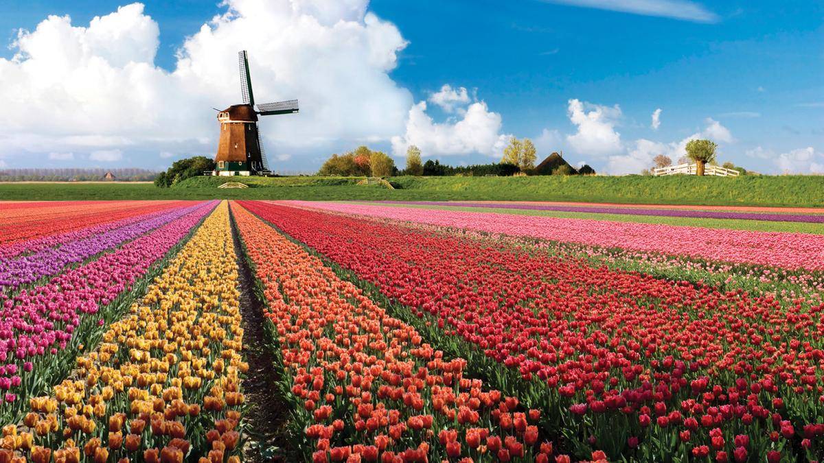 https://cdn.idntimes.com/content-images/post/20170730/keukenhof-garden-amsterdam-01f7dfa9b9c527923dd2ddda353fc7dd.jpeg