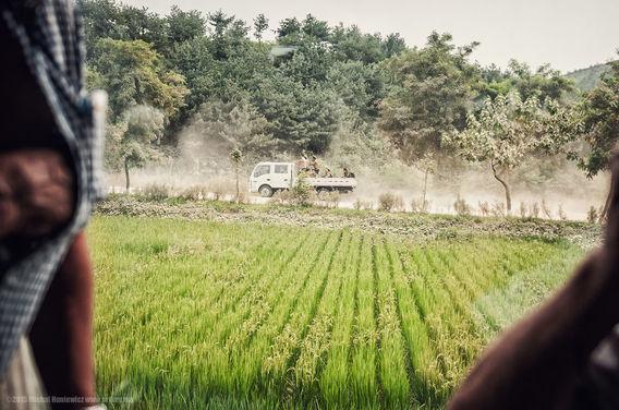 http://cdn.idntimes.com/content-images/post/20160312/korutsawah-054784f906d5bd712fcea94c188c713c.jpg