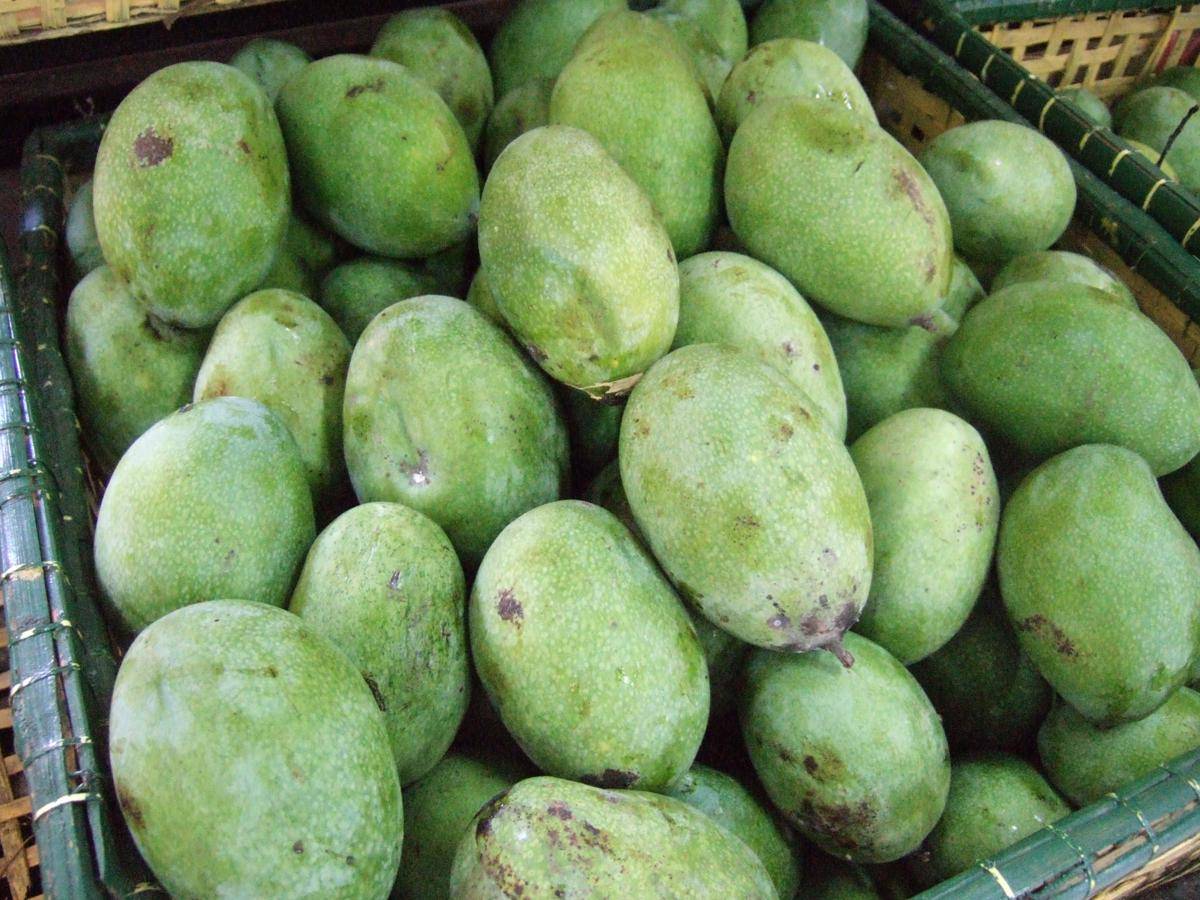 https://cdn.idntimes.com/content-images/post/20171126/manalagi-mangoes-taman-wisata-mekarsari-a8852da0460e64e033a88ebe762f2836.JPG