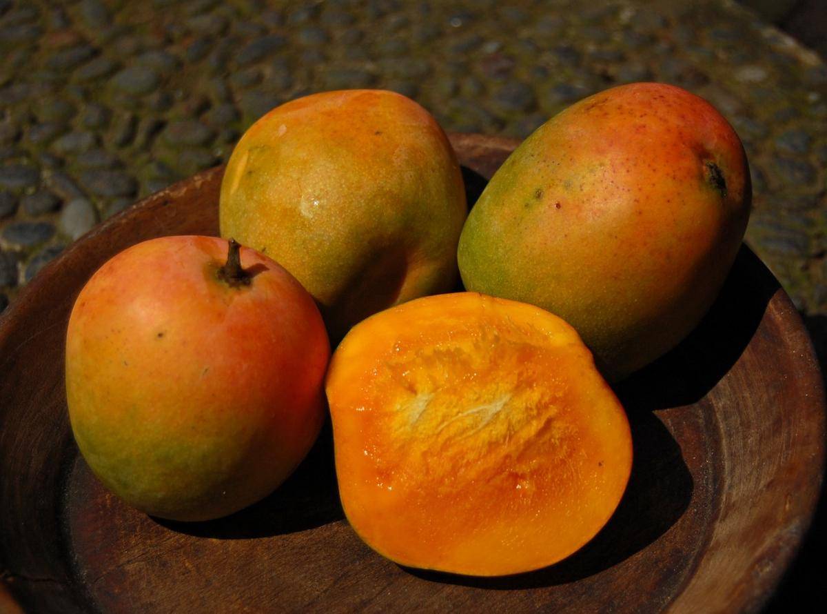 https://cdn.idntimes.com/content-images/post/20171126/mangga-gedong-gincu-071021-0845-tmo-2137c621c3d03993a19030c2f9b00c51.jpg