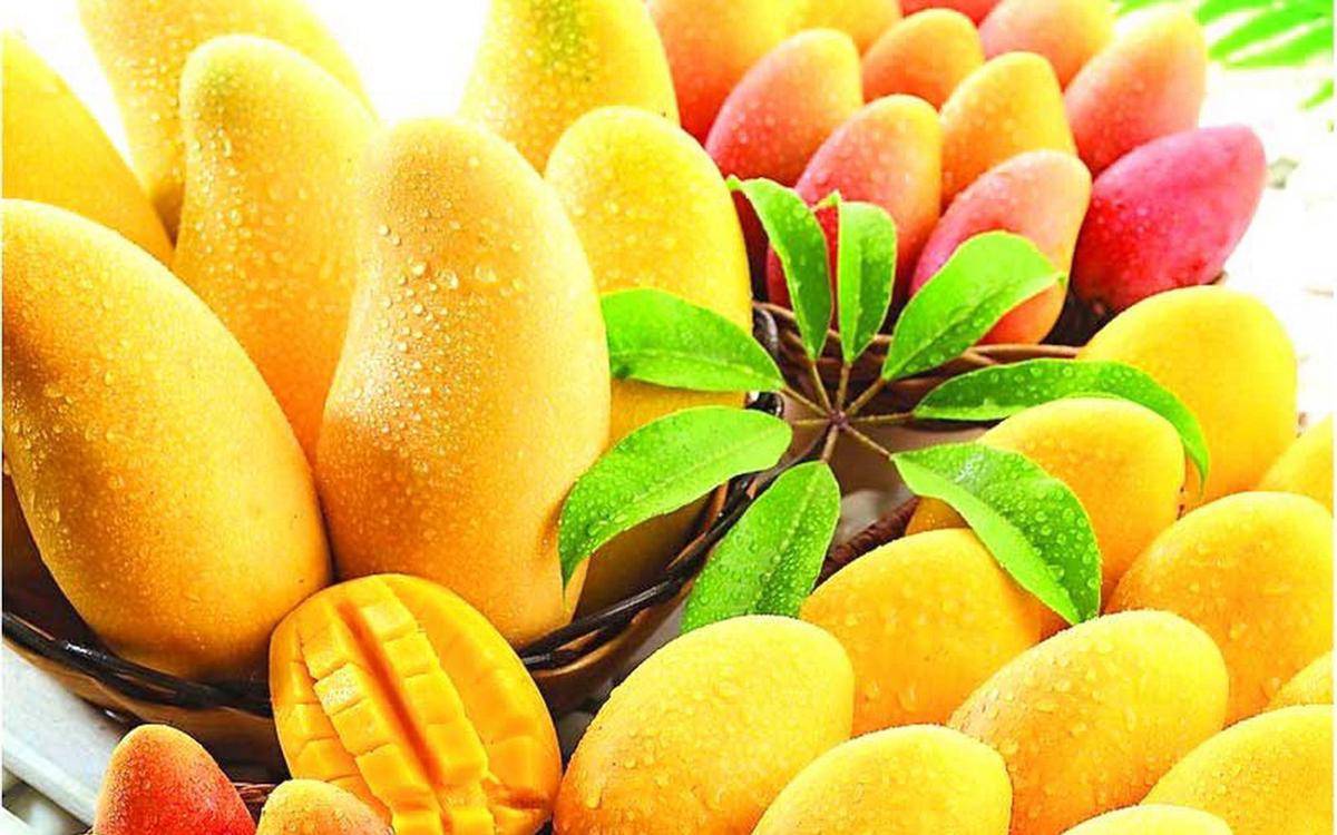https://cdn.idntimes.com/content-images/post/20171126/mango-hd-wallpapers-fffea1aeccb4123f0bc3664418a5990d.jpg