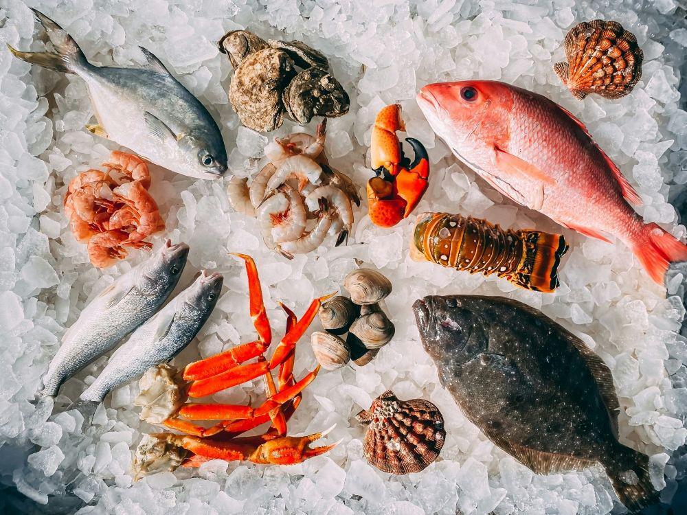 ⁠[QUIZ] Pilih Seafood Favoritmu, Kamu Cocoknya Masak Ini untuk Makan Malam