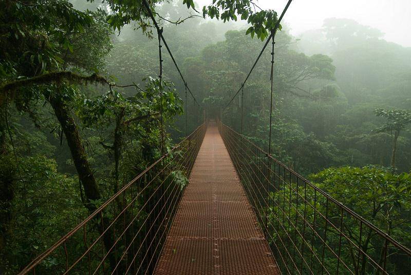 https://cdn.idntimes.com/content-images/post/20180424/monteverde-1-67e2452591c3df1542d433aca641be5e.jpg