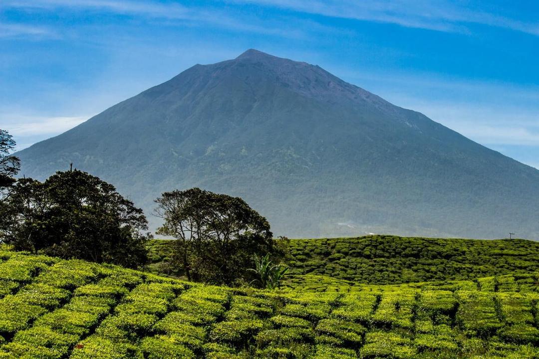 https://cdn.idntimes.com/content-images/post/20171130/mt-kerinci-db9285f77289c80e3a8a8a9d93ecf863.jpg
