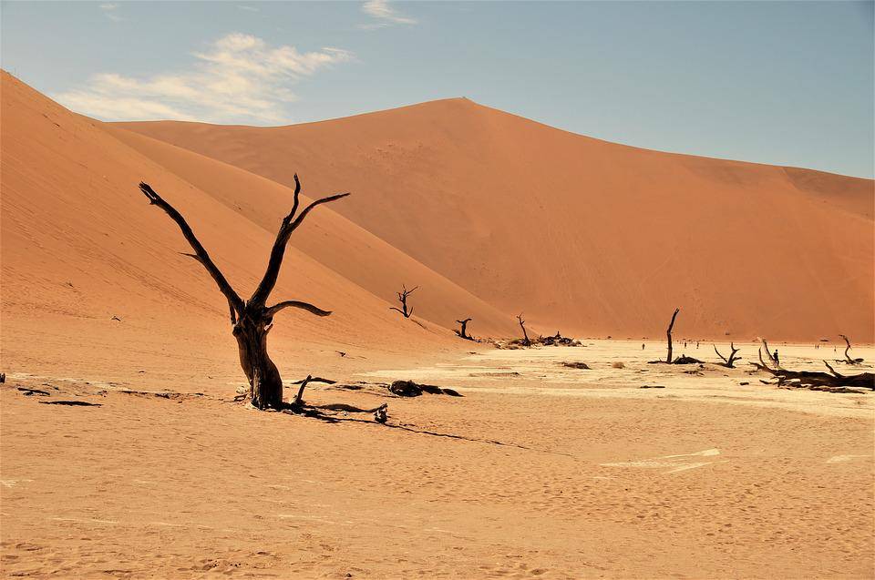 https://cdn.idntimes.com/content-images/post/20180415/namib-1956e6ce81f0d23a39899ec9dac8a674.jpg