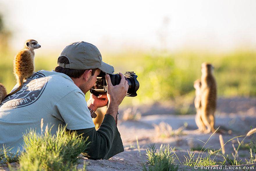 https://cdn.idntimes.com/content-images/post/20170820/nature-photographers-45-880-7256f31a649c478dac93d37d2d214e2e.jpg