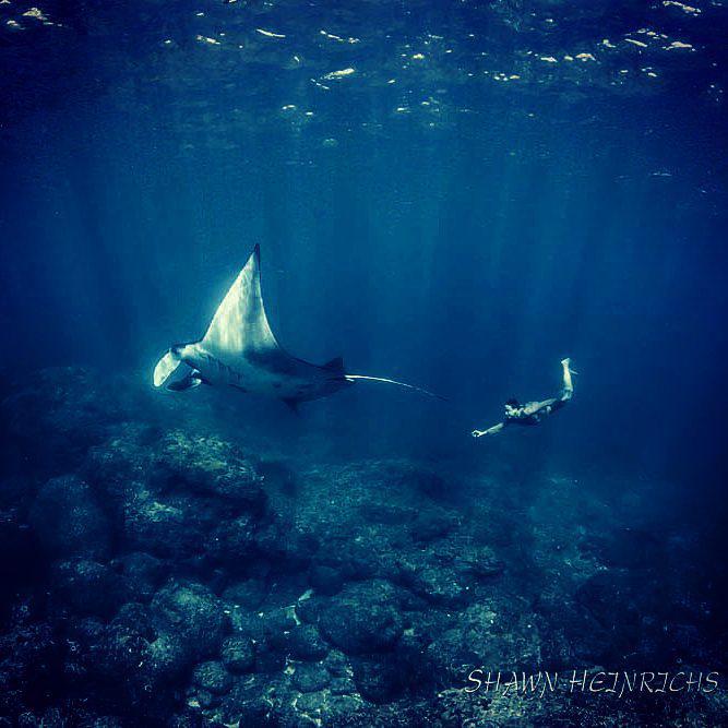 https://cdn.idntimes.com/content-images/post/20171112/nusa-penida-58ee64d72f2b6d1c507872ff637968a9.jpg