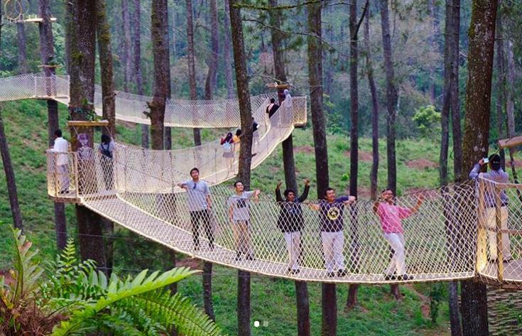 https://cdn.idntimes.com/content-images/post/20180321/orchidforestcikole-36dfcfa7c66c8b3542ccfa195ace9e9d.jpg