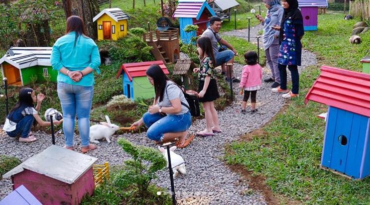 https://cdn.idntimes.com/content-images/post/20180321/orchidforestcikole3-27a9cb9318b044d9a63b459a19d61525.jpg