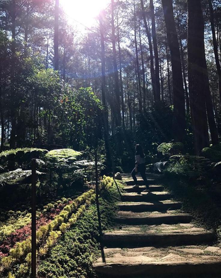 https://cdn.idntimes.com/content-images/post/20180321/orchidforestcikole5-39d0674b2a2e56a13d7f39c701413e8e.jpg