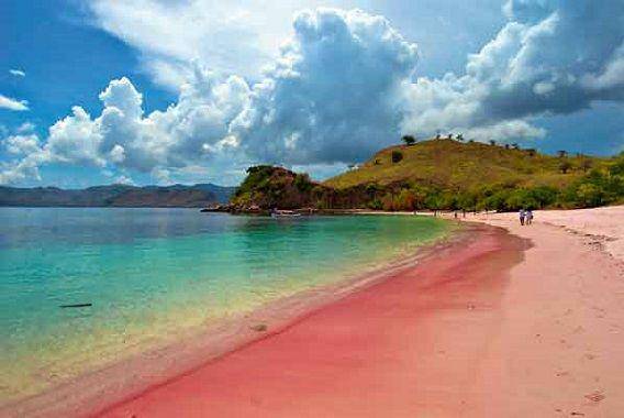 http://cdn.idntimes.com/content-images/post/20151112/pantaipink-0d53f07036f9e1b9c0b61d1dacfbb07c.jpg