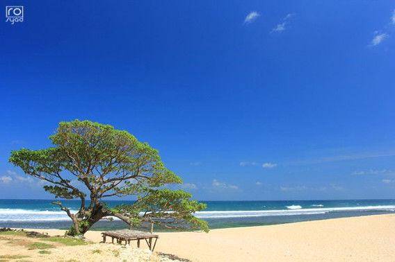 http://cdn.idntimes.com/content-images/post/20160207/pantaipoktunggal-9f1fc418552bb665db4eb7d8004b7a47.jpg