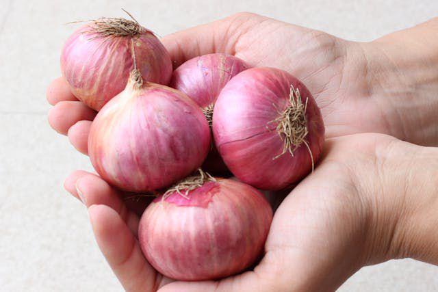 Ilustrasi bawang merah (pexels.com/Mrudang Dalal)