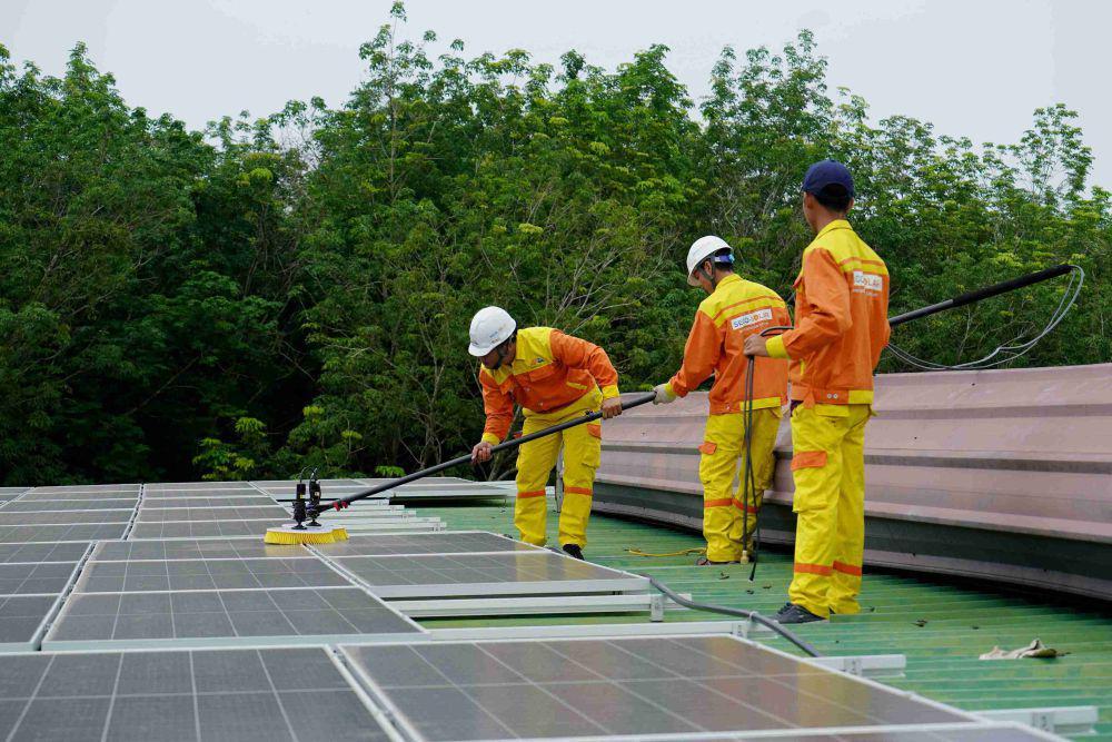 5 Alasan Green Jobs akan Menjadi Pilihan Karier Masa Depan