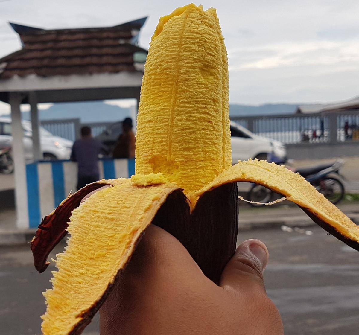 https://cdn.idntimes.com/content-images/post/20180130/pisang-tongkat-langit-geschalt-18635ce1fb7d672f1fba7419216712a7.jpg