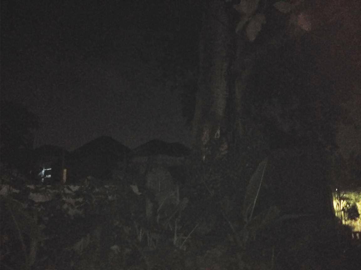 https://cdn.idntimes.com/content-images/post/20180331/pohon-benda-545e7c6ee018fdcefba90614d74b717a.jpeg
