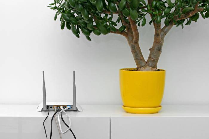 https://cdn.idntimes.com/content-images/post/20170213/router-3-a1a03be0316331a18671e69ae638dde4.jpg