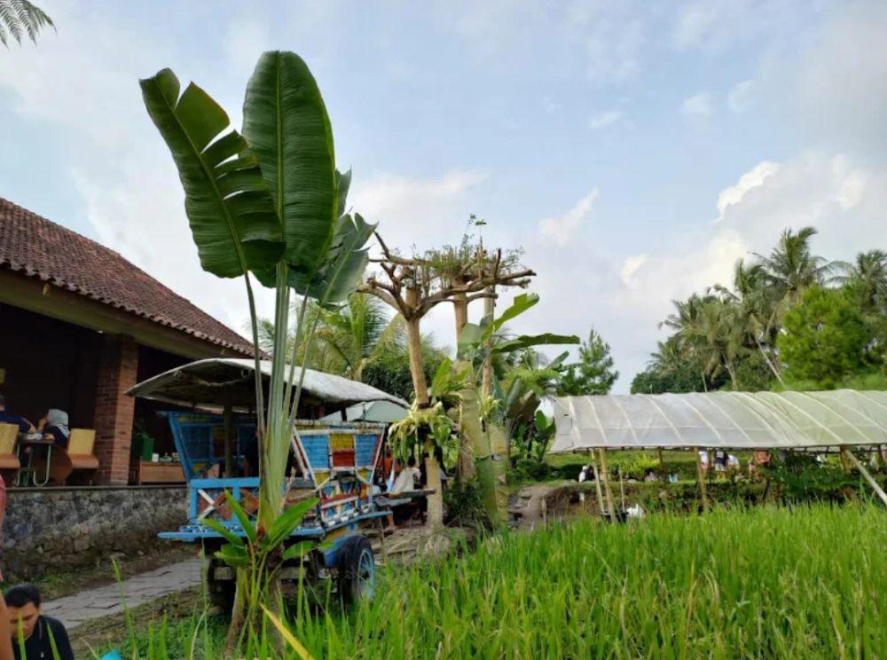 kopi klotok jogja (google.com/maps/Liza Bonet)