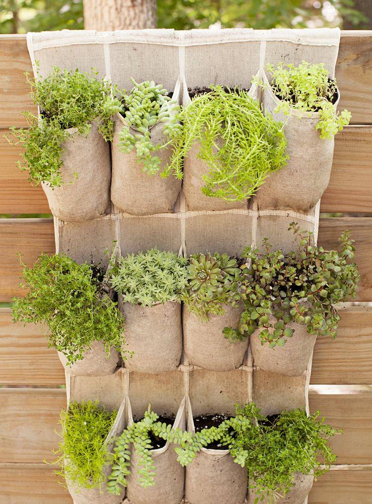 https://cdn.idntimes.com/content-images/post/20170614/shoe-organizer-garden-d6bbbc0425fed84c5ebf4c773f33ee21.jpg