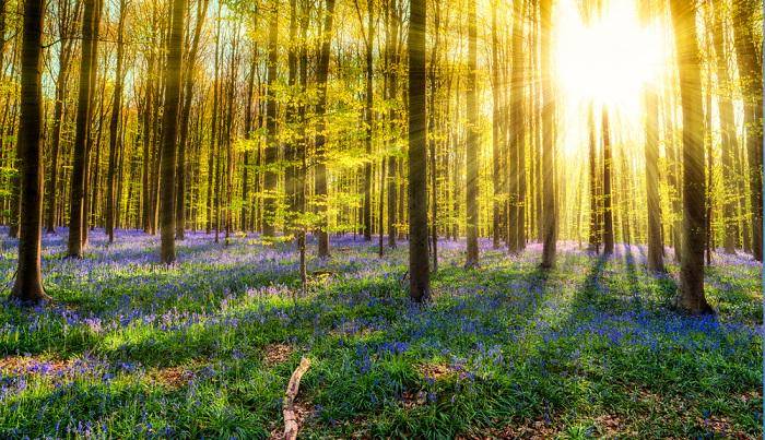 https://cdn.idntimes.com/content-images/post/20180424/simon-lukas-shutterstock-a7d59301bc12dddc69bdb77532b2c628.jpg