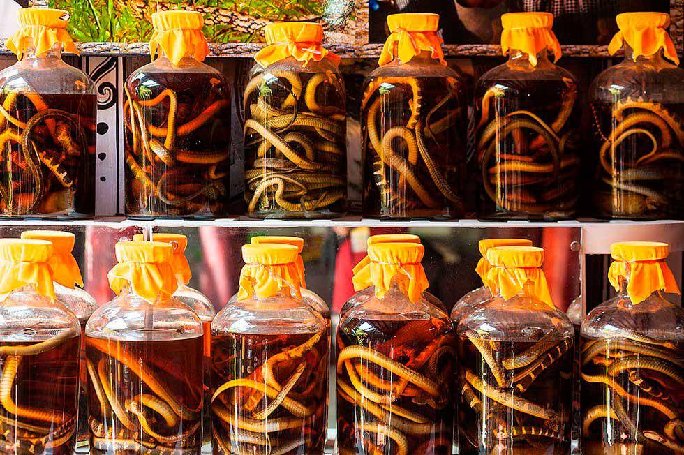 https://cdn.idntimes.com/content-images/post/20160930/snake-wine01-f15179f13fa8a72108010ca33e24fbb7.jpg