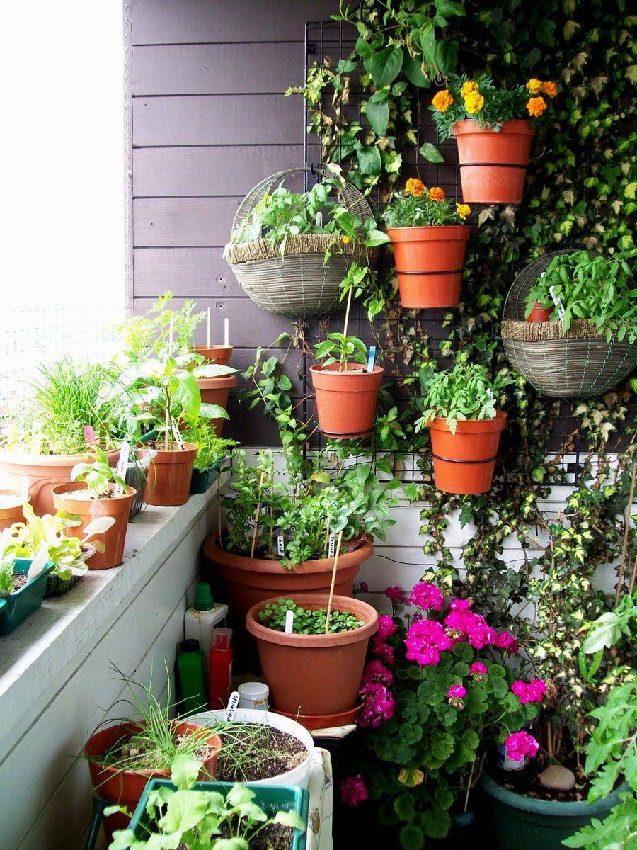 https://cdn.idntimes.com/content-images/post/20170614/stylish-ideas-for-small-balcony-ideas-1488634331-89fbcac412b2243e1573c9a1b0522ac7.jpg