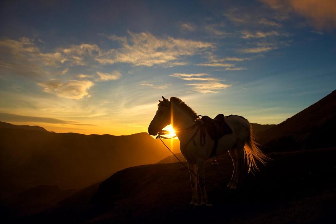 https://cdn.idntimes.com/content-images/post/20170707/sunrise7-5d833aef8ddb9e9dfd8126f3f29b2e73.jpg