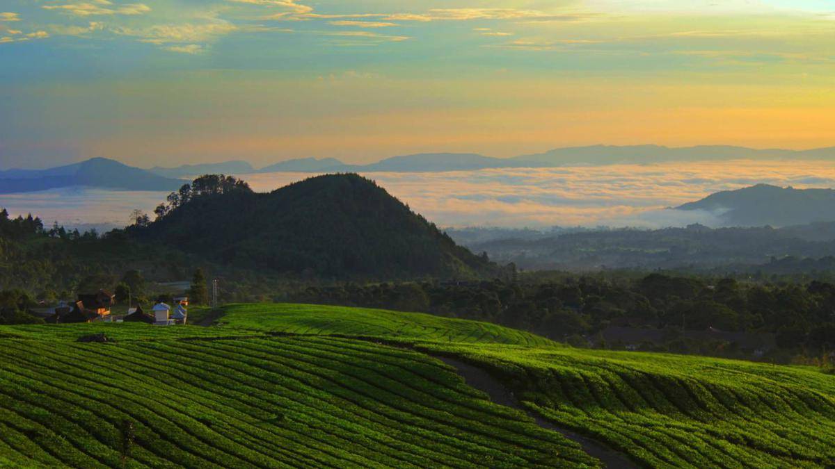 https://cdn.idntimes.com/content-images/post/20171220/tempat-wisata-di-bandung-berupa-pegunungan-94528c7ec4c4a85a100706f88622460e.jpg