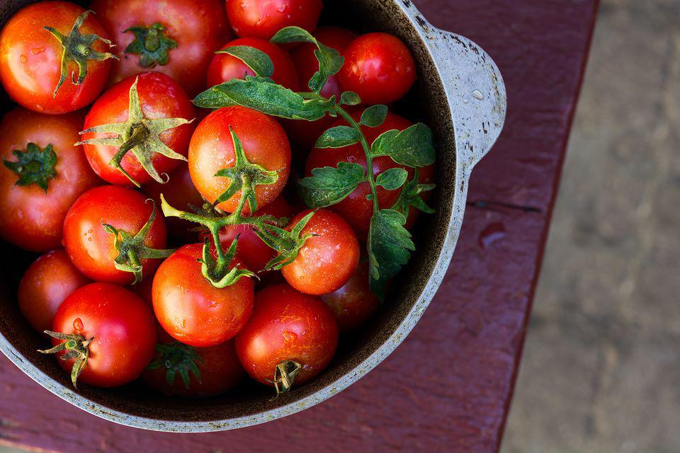 https://cdn.idntimes.com/content-images/post/20180220/tomato-twenty20-76ff03fc-1675-499e-8c4c-fcc1af299efe-586686b83df78ce2c35cb982-008d04efc8934501ef9d8decda974cad.jpg