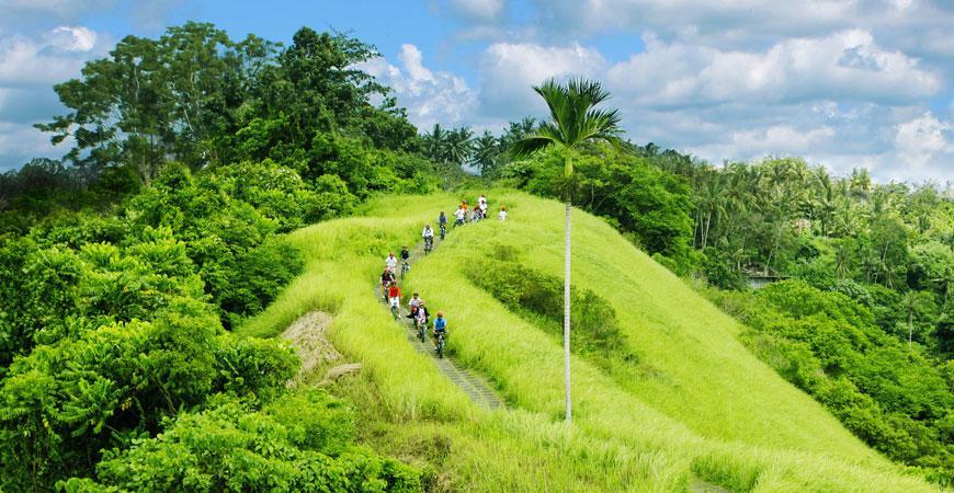 https://cdn.idntimes.com/content-images/post/20170114/ubud-efdac91331f8d8ea1aeb26e57d5b7eec.jpg