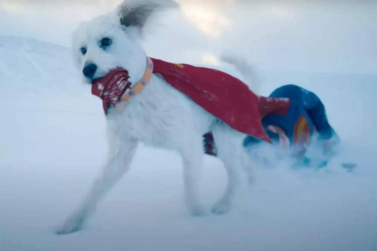 krypto the super dog.jpg