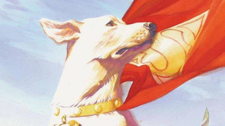 superdog.jpg