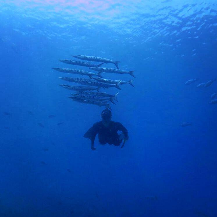 https://cdn.idntimes.com/content-images/post/20171112/waisai-papua-5c52e292d2d2dc42117addd83fe89bce.jpg