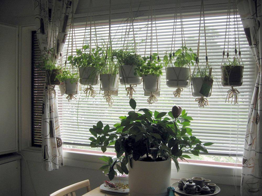 https://cdn.idntimes.com/content-images/post/20170614/windowsill-planter-planter-designs-ideas-in-image-of-top-windowsill-decorations-interior-photo-window-garden-a6923a184f7f8aff5179ac008dafe5df.jpg