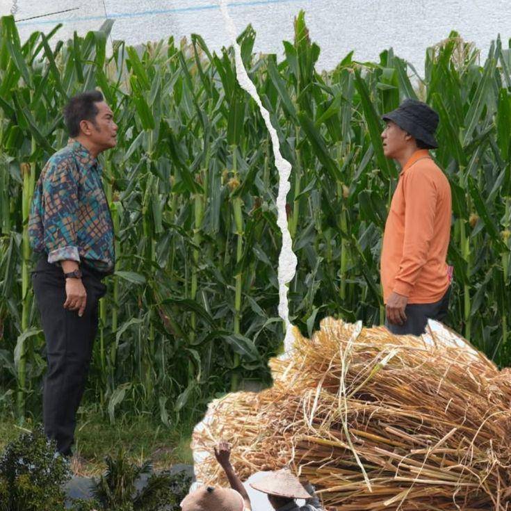 Film Seribu Bayang Purnama (instagram.com/film.seribubayangpurnama)