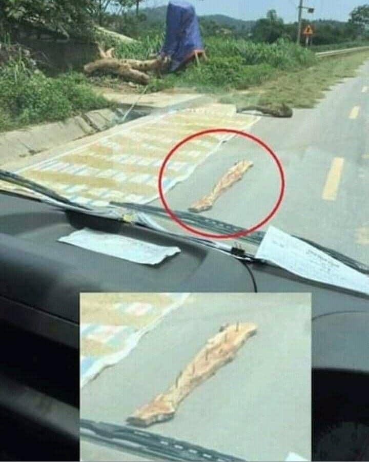https://cdn.idntimes.com/content-images/community/2019/06/1043395-ketika-dizoom-bakal-bikin-kaget-19c4bc4cd303bd932d4e96d271b28d4a.jpg