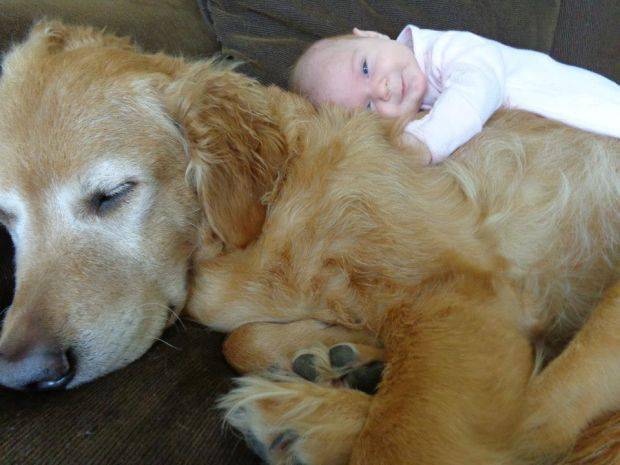 http://cdn.idntimes.com/content-images/post/old/575c4-1.jpg
