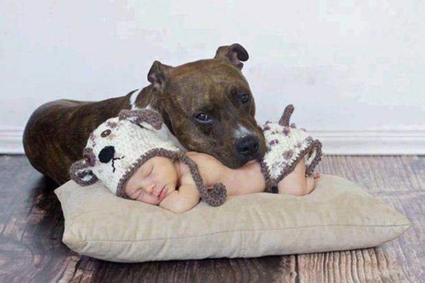 http://cdn.idntimes.com/content-images/post/old/57c9d-12.jpg