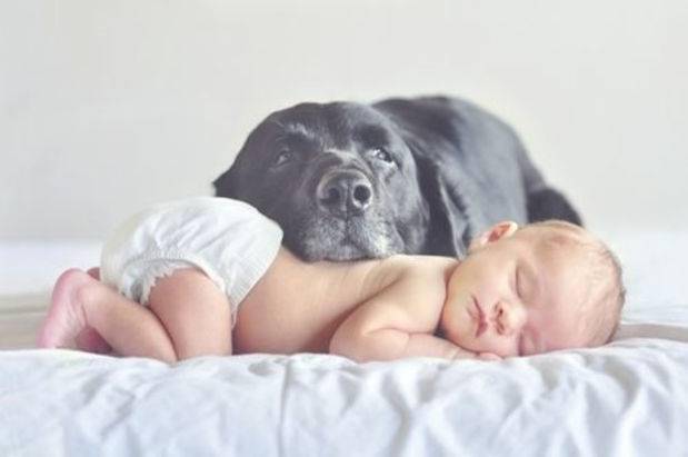 http://cdn.idntimes.com/content-images/post/old/5ee40-8.jpg