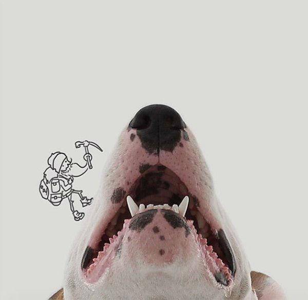 http://cdn.idntimes.com/content-images/post/old/62055-Terrier8_boredpandacom.jpg