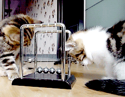 http://cdn.idntimes.com/content-images/post/old/6db9e-5_giphy.gif