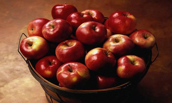 http://cdn.idntimes.com/content-images/post/old/7c2f0-Diet20_fanpopcom.jpg