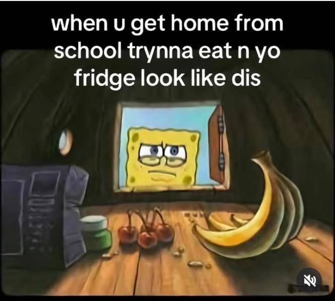meme SpongeBob tentang makan siang (reddit.com/user/FE4RLESS_IS_MY_NAME)