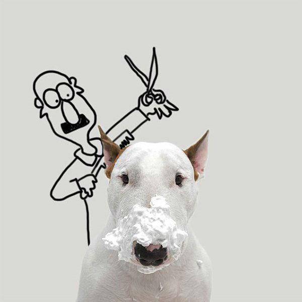 http://cdn.idntimes.com/content-images/post/old/99aa5-Terrier16_boredpandacom.jpg
