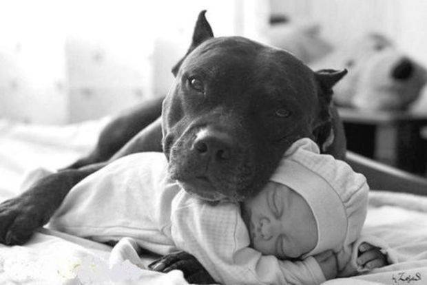 http://cdn.idntimes.com/content-images/post/old/a3a25-11.jpg