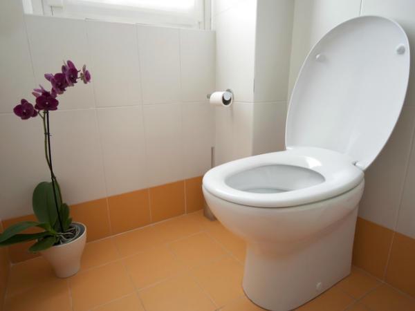 http://cdn.idntimes.com/content-images/post/old/aa587-15_hooplaha.jpg