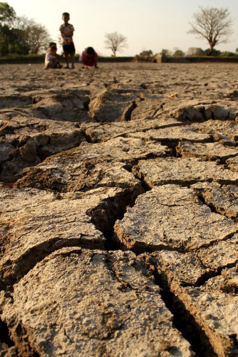 https://cdn.idntimes.com/content-images/post/20190909/antarafoto-dampak-musim-kemarau-020919-ap-2-ee0a48f9c08a08d18f59ec9f02857c14.jpg