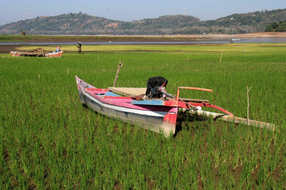 https://cdn.idntimes.com/content-images/post/20190909/antarafoto-pemanfaatan-lahan-waduk-yang-mengering-260819-ap-1-26f70a2894a69f1980718f9a98c38642.jpg